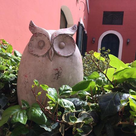 Donnenzo Bed and Breakfast Latiano Εξωτερικό φωτογραφία