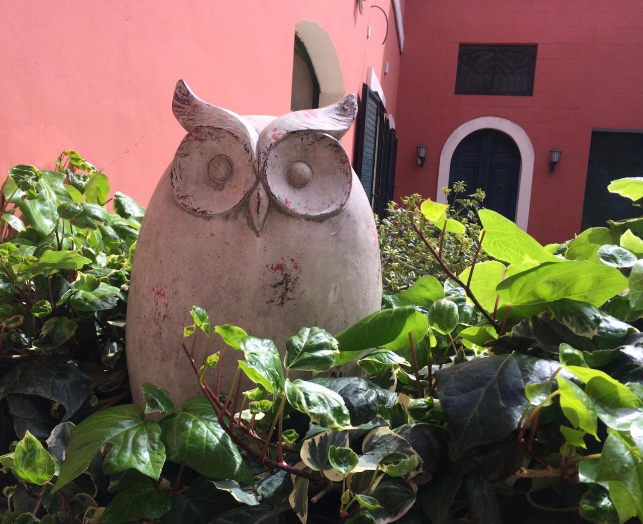 Donnenzo Bed and Breakfast Latiano Εξωτερικό φωτογραφία
